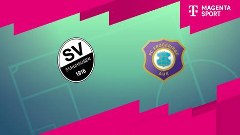 SV Sandhausen - FC Erzgebirge Aue: Tore und Highlights | 3. Liga