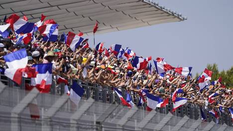 Die Formel 1 wird wie erwartet im kommenden Jahr keinen Großen Preis von Frankreich austragen. Das bestätigt Serienchef Stefano Domenicali der Nachrichtenagentur AFP.