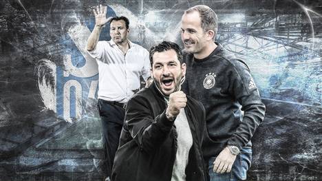 David Wagner ist Geschichte. Nun sucht Schalke nach einem Nachfolger. SPORT1 analysiert die Kandidaten. 