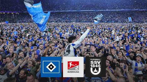 Sieben Jahre Leidenszeit für alle HSV-Fans sind beendet. Nach dem Gala-Auftritt gegen Ulm brechen in Hamburg alle Dämme. 