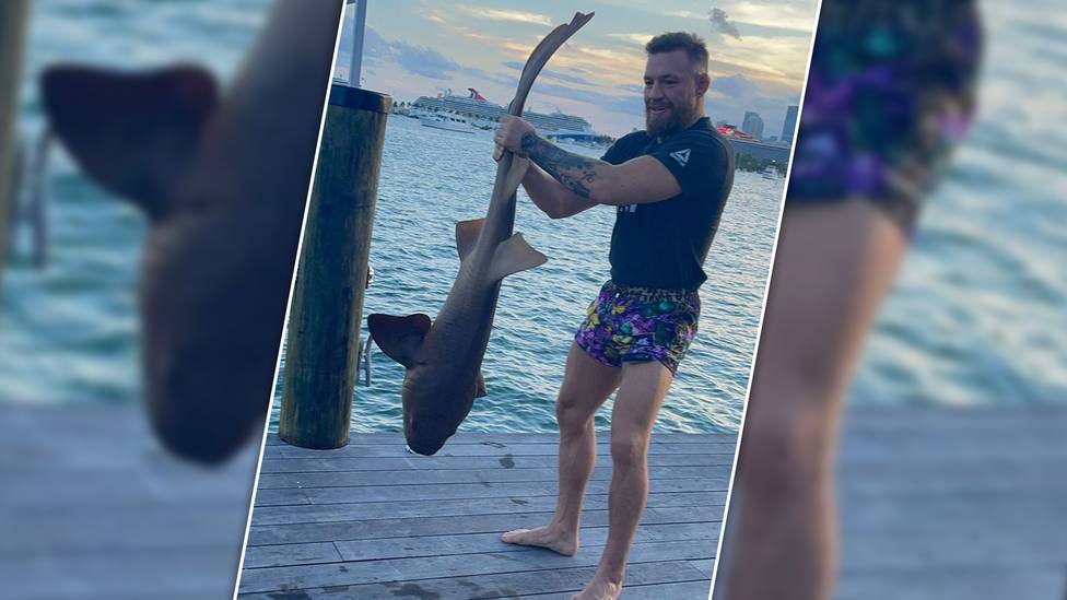 Conor McGregor sorgt mal wieder für Aufsehen - dieses Mal mit einem Hai. Der UFC-Star will angeblich auf den Schutz des Ozeans Aufmerksam machen.