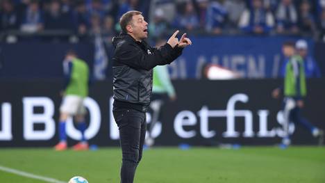 Der FC Schalke hat sich von Trainer Frank Kramer getrennt. Die Königsblauen reagierten mit der Freistellung auf die anhaltende Niederlagenserie in der Bundesliga und das Aus im DFB-Pokal.