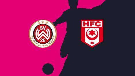 SV Wehen Wiesbaden - Hallescher FC: Tore und Highlights | 3. Liga
