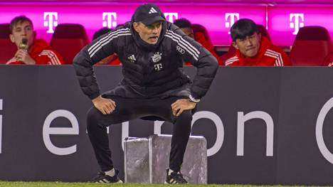 Der FC Bayern verschleißt einen Top-Trainer nach dem anderen. Wer wird Nachfolger von Thomas Tuchel im Sommer?