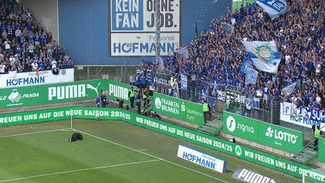 Gerald Asamoah verlässt den FC Schalke 04 im Sommer. Nach dem letzten Spiel in Fürth wird er von tausenden Schalker Fans gebührend gefeiert und verabschiedet.