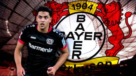 Nadiem Amiri ist eines der Gesichter des Leverkusener Erfolgs. Die Traumstatistik des Nationalspielers: Spielt er, gewinnt die Werkself.