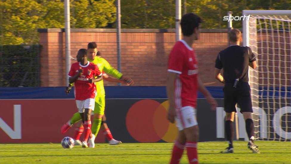 Bayern-Schreck Dinamo Zagreb muss sich im Viertelfinale der Youth League Benfica Lissabon geschlagen geben. Am Ende sorgt der Zagreb-Torwart mit einer Frust-Aktion für eine unschöne Szene.