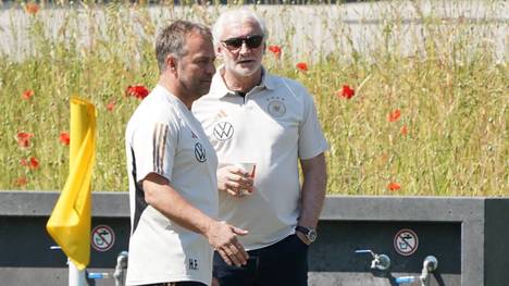 DFB-Direktor Rudi Völler hat Bundestrainer Hansi Flick angesichts der immer schärfer werdenden Kritik eine Jobgarantie gegeben.