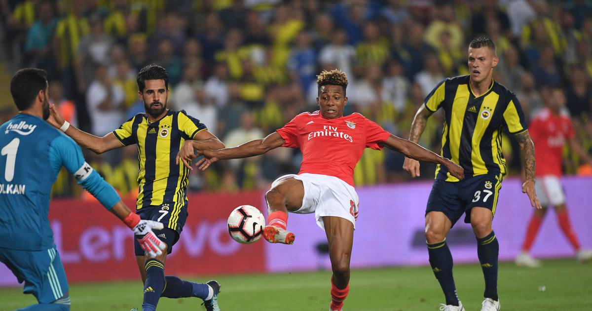 Qualification With Celtic Glasgow Fenerbahce Salzburg
