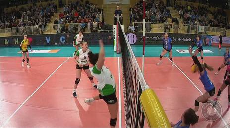 Volleyball Bundesliga Manner Sport1